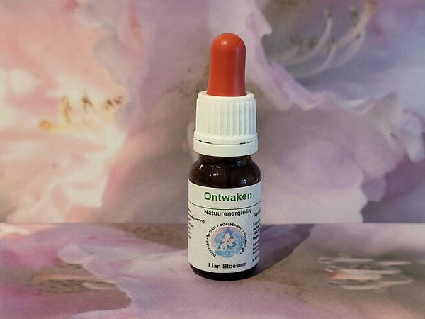 ontwaken bloesem