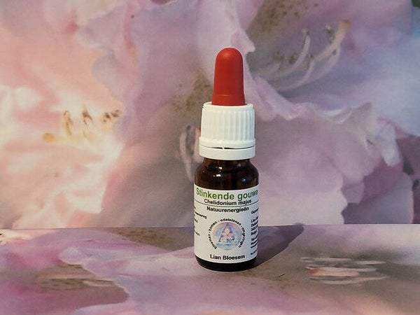 stinkende gouw bloesem