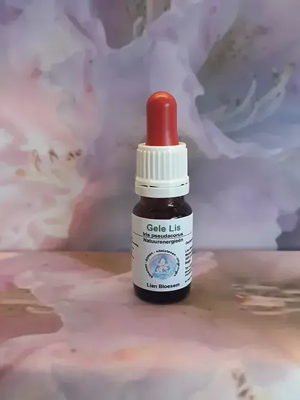 gele lis bloesem