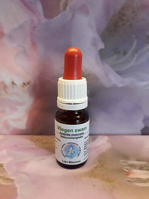 vliegenzwam bloesem