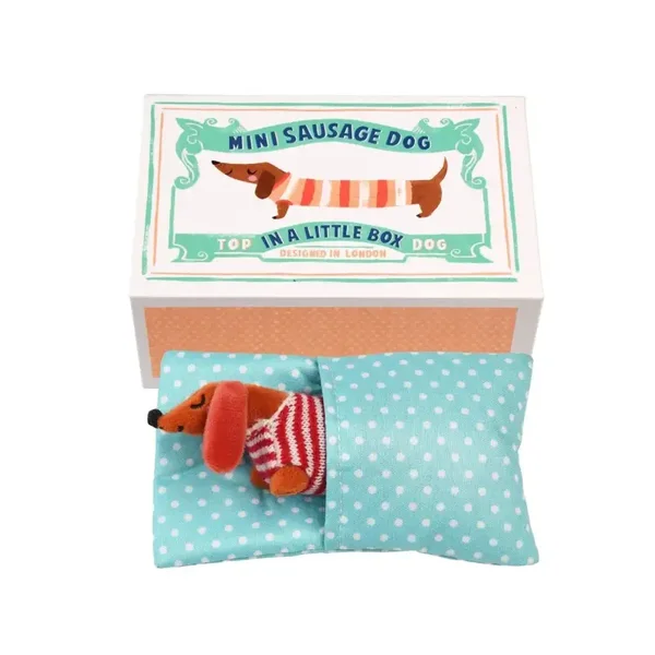 Mini Sausage Dog in A Little Box