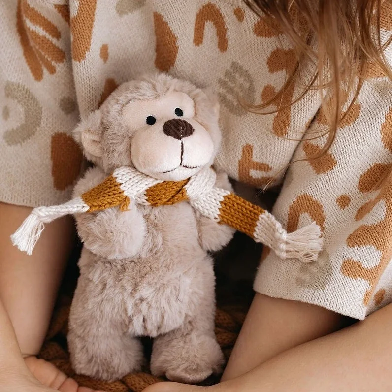 Hugo Monkey