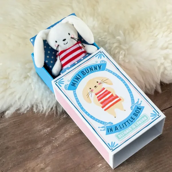 Mini Bunny in A Little Box