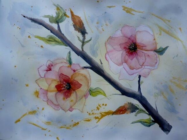 Aquarelle fleurs