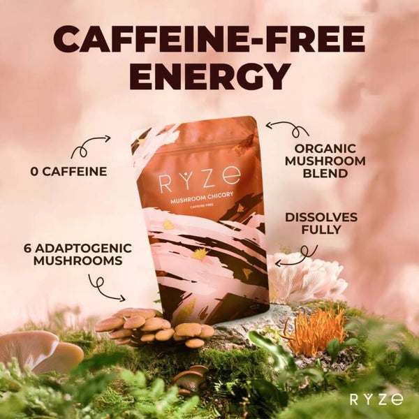 Ryze Mushroom Chicory Decaf Coffee USDA Organic