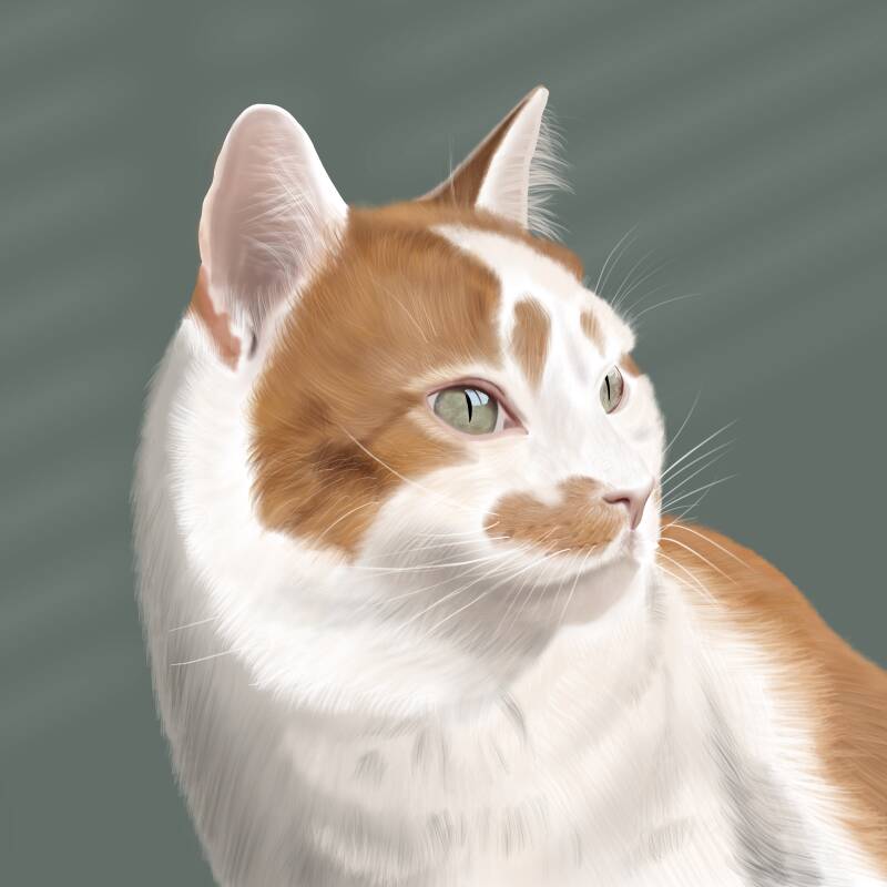 Kick ass pet portraits; een digitaal portret van een rood/witte kat met een grijsgroene achtergrond. De kat heeft mooie lichtgroene ogen en lange witte snorharen, gewoon een purrfect cat portrait van Ginger_Roffa