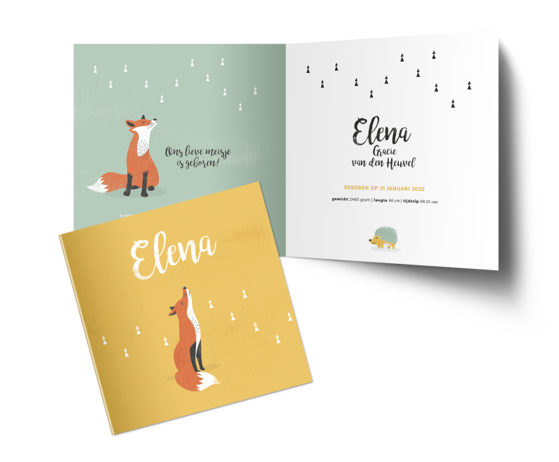 Geboortekaartje van Elena Gracie van den Heuvel, met een lief vosje op de voorkant en aan de binnenkant