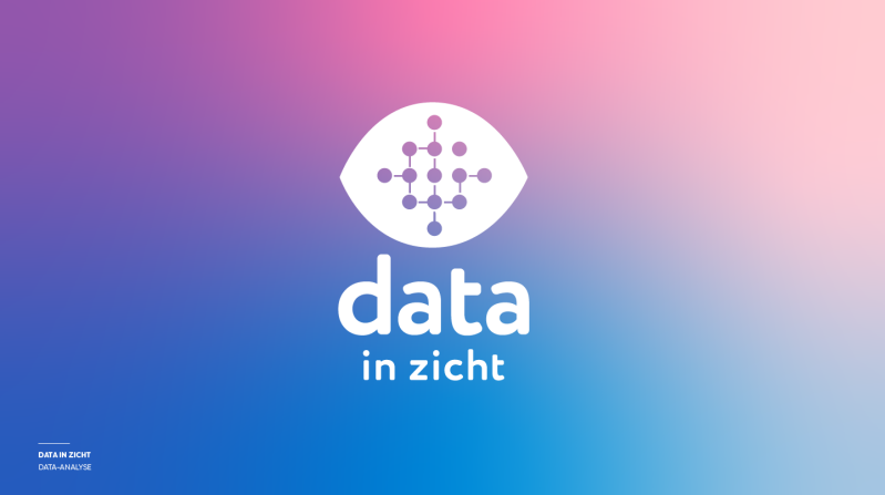 Logofolio, een greep uit de logo's en corporate identities voor diverse bedrijven, hier zie je het logovoorstel voor Data in Zicht, data-analyse