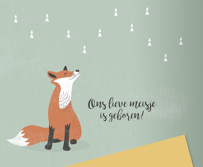 Geboortekaartjes omslag met geboortekaartje met een vosje erop