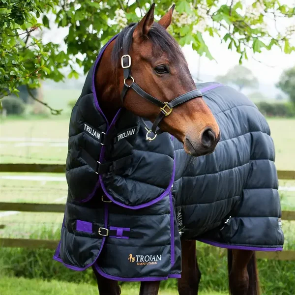 galllop TROJAN DUAL 200G STABLE RUG & NECK SET