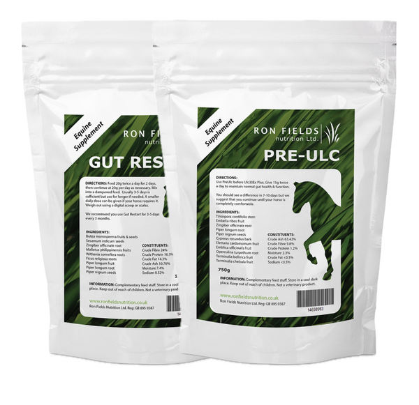 Digestive Reset & Comfort Bundle