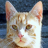 www.gandalfgarfield.de favicon