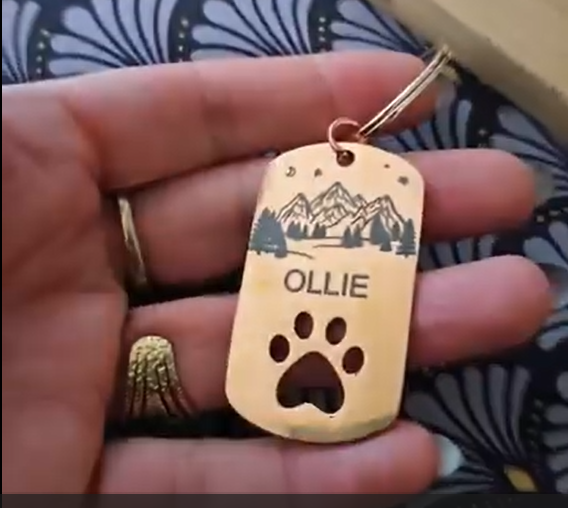médaillon QR pour chien
