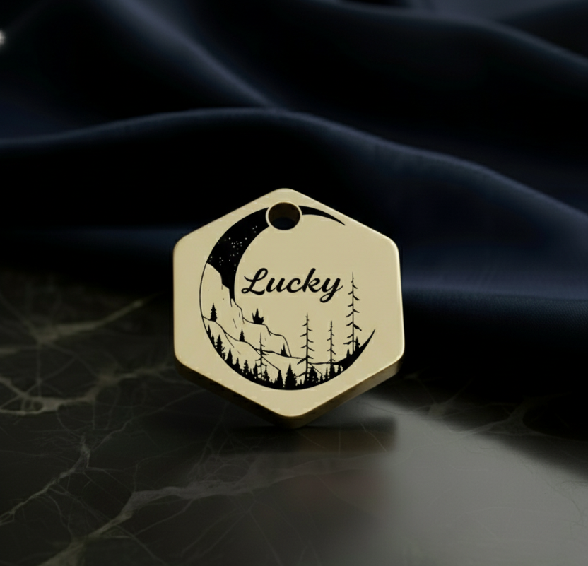 Médaillon héxagone