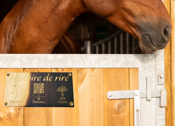 plaque de box cheval personnalisée