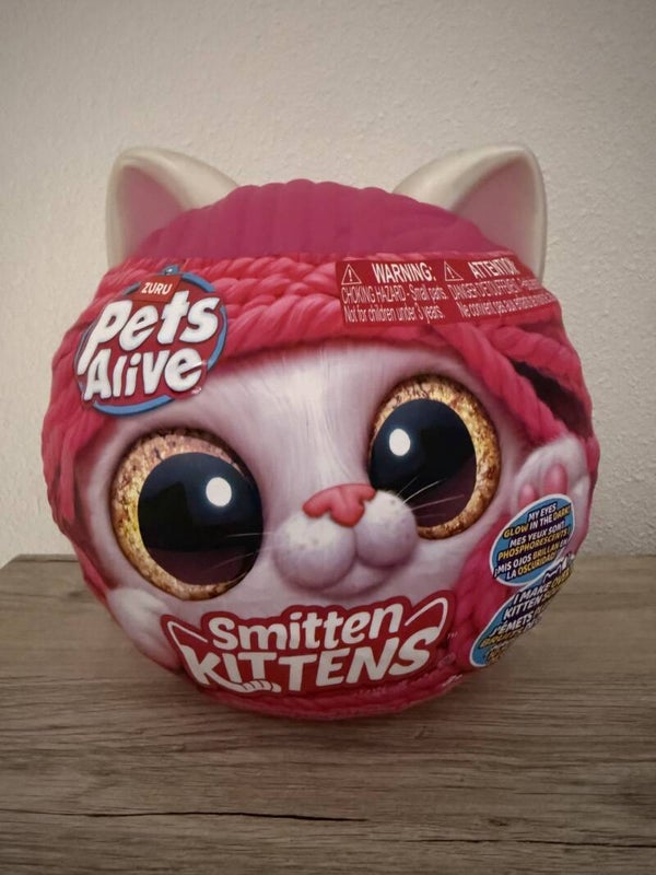 Pets Alive - Smitten Kittens