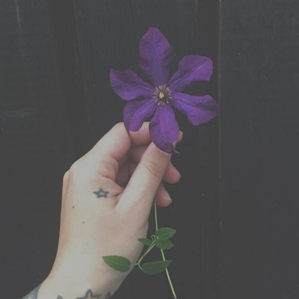 Poesikort "WILDFLOWERS"