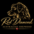 Red Diamond Aussies