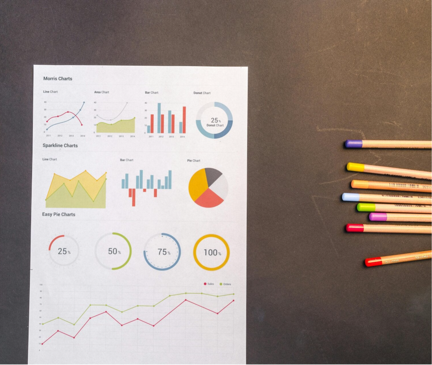 11 plus tuition displaying graphs and line charts and pie charts.