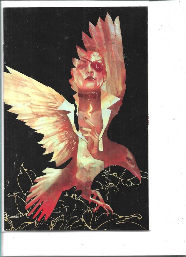 The unkindness of ravens #1 variant