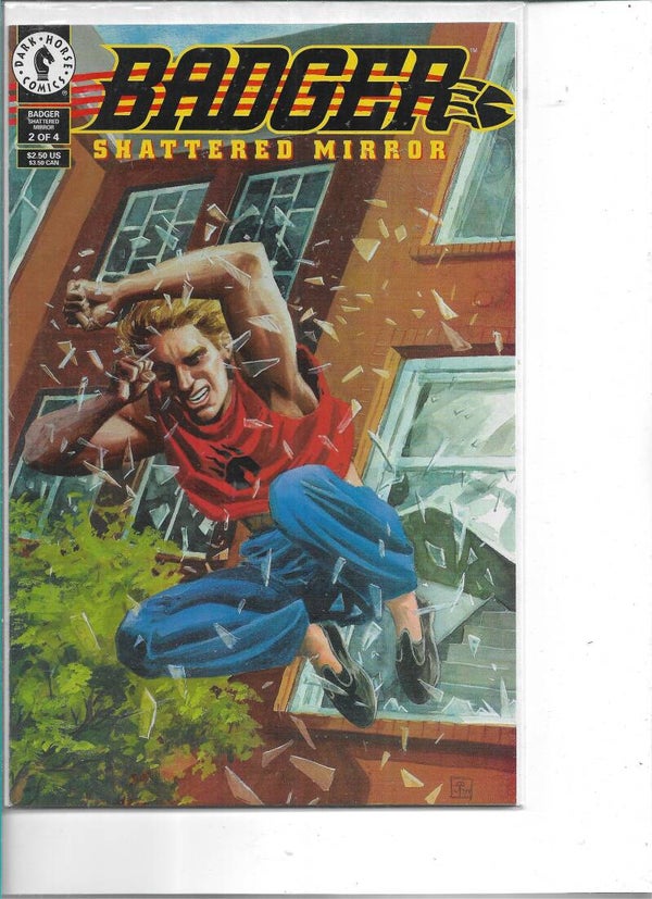 Badger shattered mirror #2