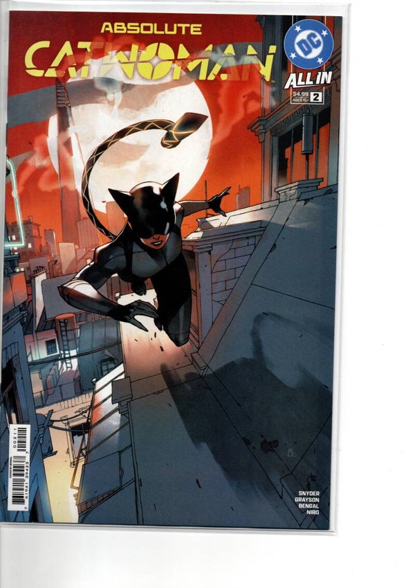 Absolute Catwoman #2