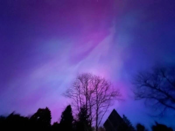 Post Card - Muskoka Nothern Lights