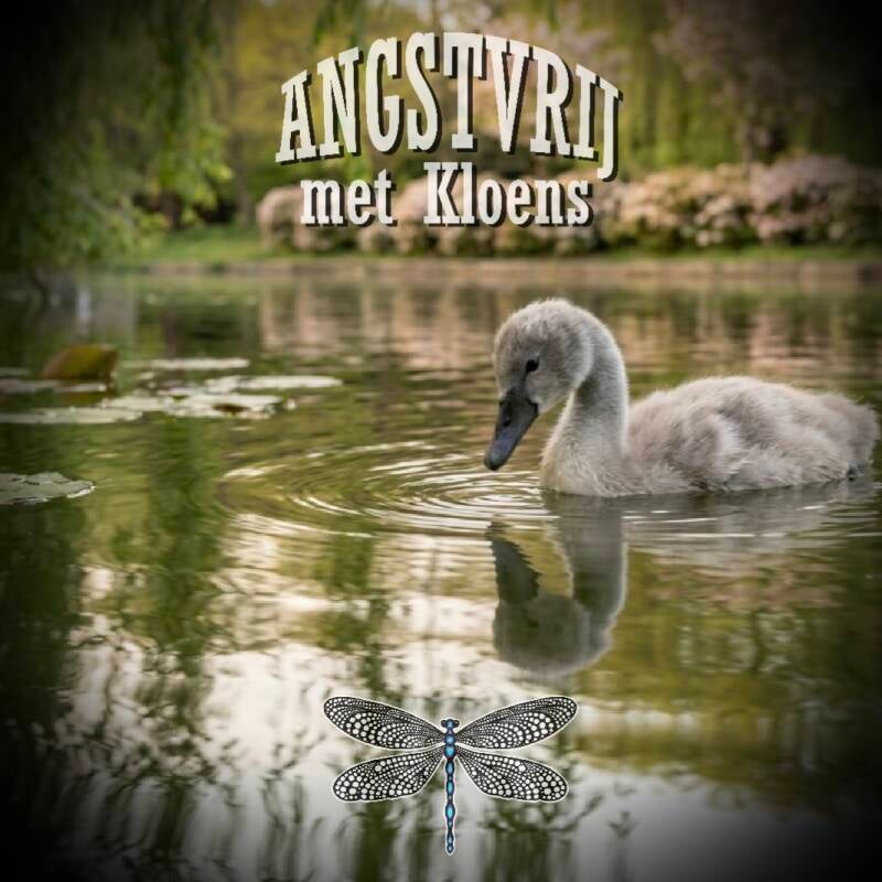 Jong zwaantje op het water met zijn spiegelbeeld — symbool voor het ontdekken van je werkelijke zelf bij Angstvrij met Kloens