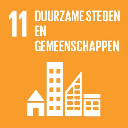 SDG 11