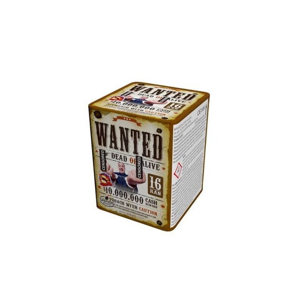 yy Wanted "SR-Pyro" F2 (B)