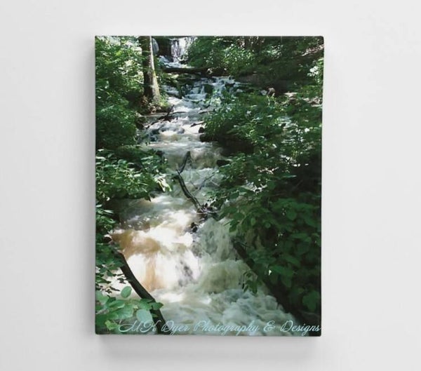 Canvas Print "Leonard Springs Rushing Waterfall"