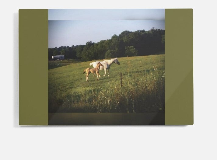 Metal Print "Mare & Foal"