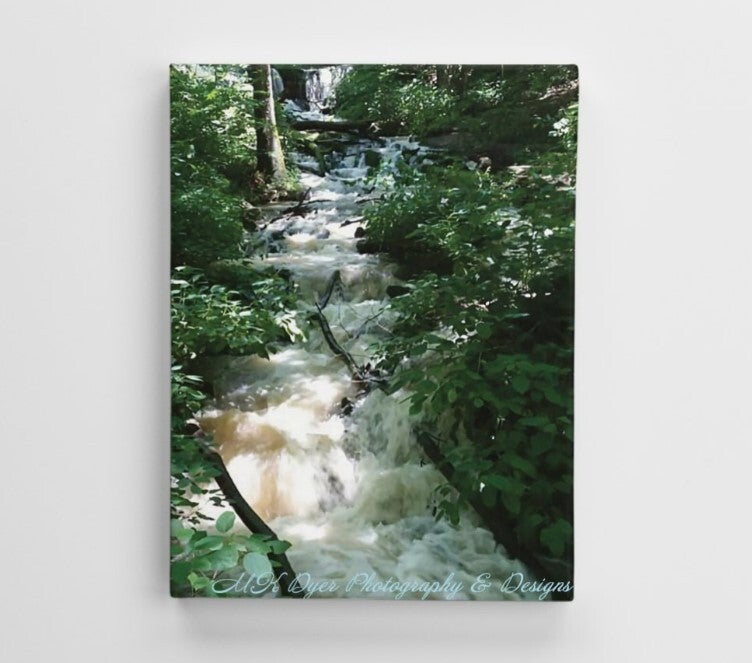 Canvas Print "Leonard Springs Rushing Waterfall"