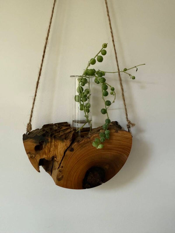 Wilga Propagation Vase -01260