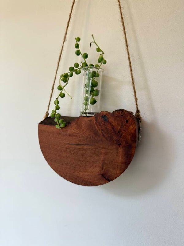 Tasmanian Rose Myrtle Propagation Vase -01299