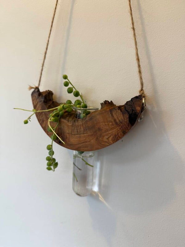 Bimble Box Burl Propagation Vases -01259