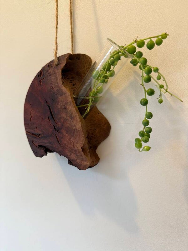 Western Red Gum Propagation Vase -01258