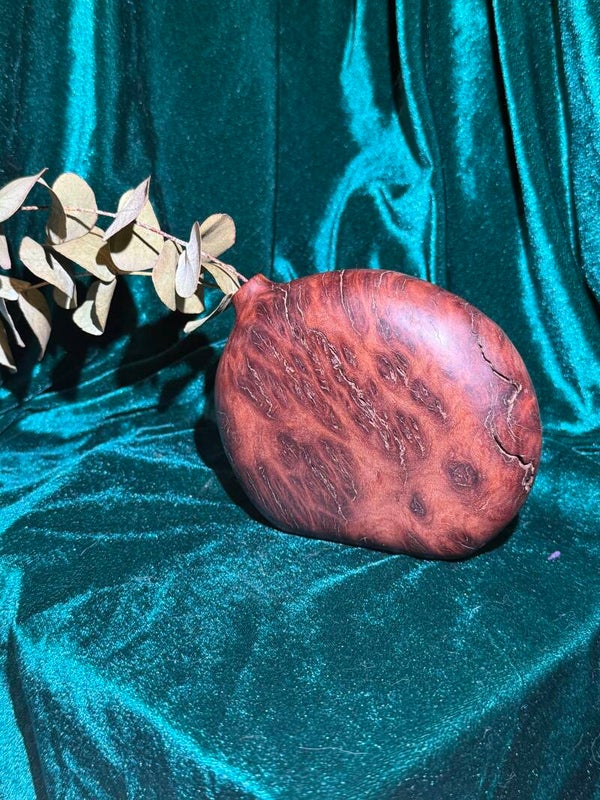 Red Mallee Burl Bud Vase - 01267