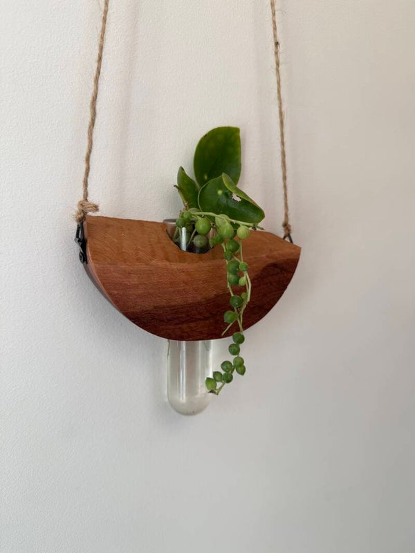 Red Mallee Burl Propagation Vase - 01264