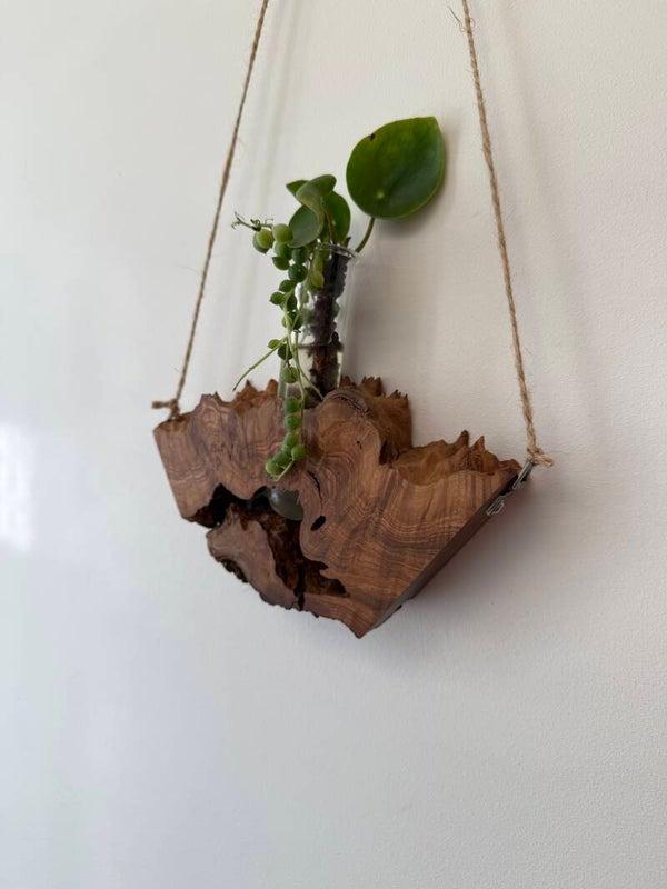 Bimble Box Burl Propagation Vase - 01265