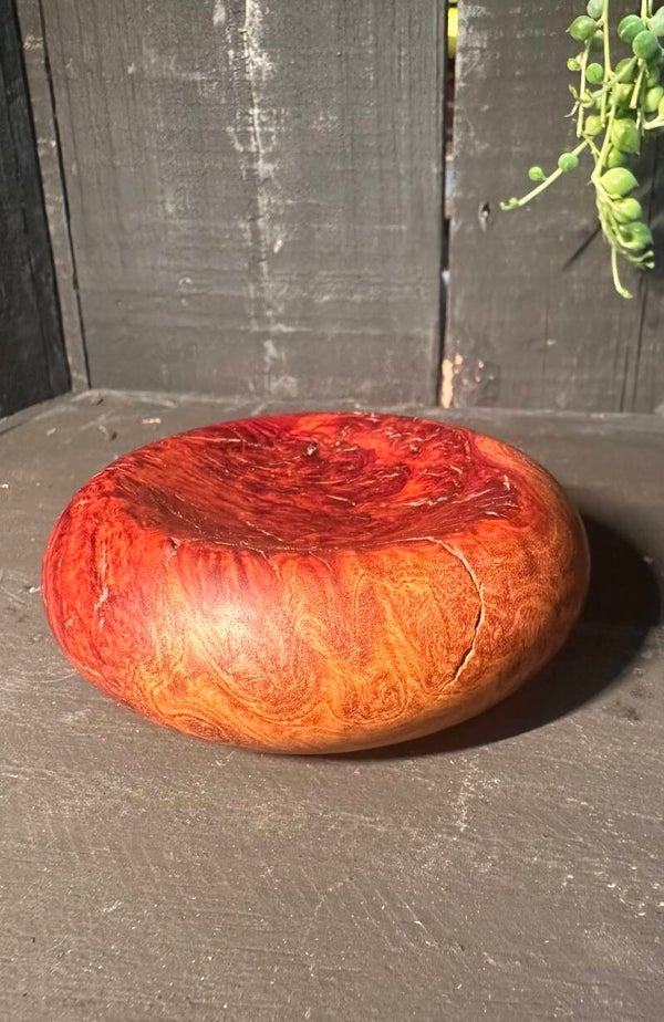 Red Mallee Burl Trinket Pillow Dish -01245