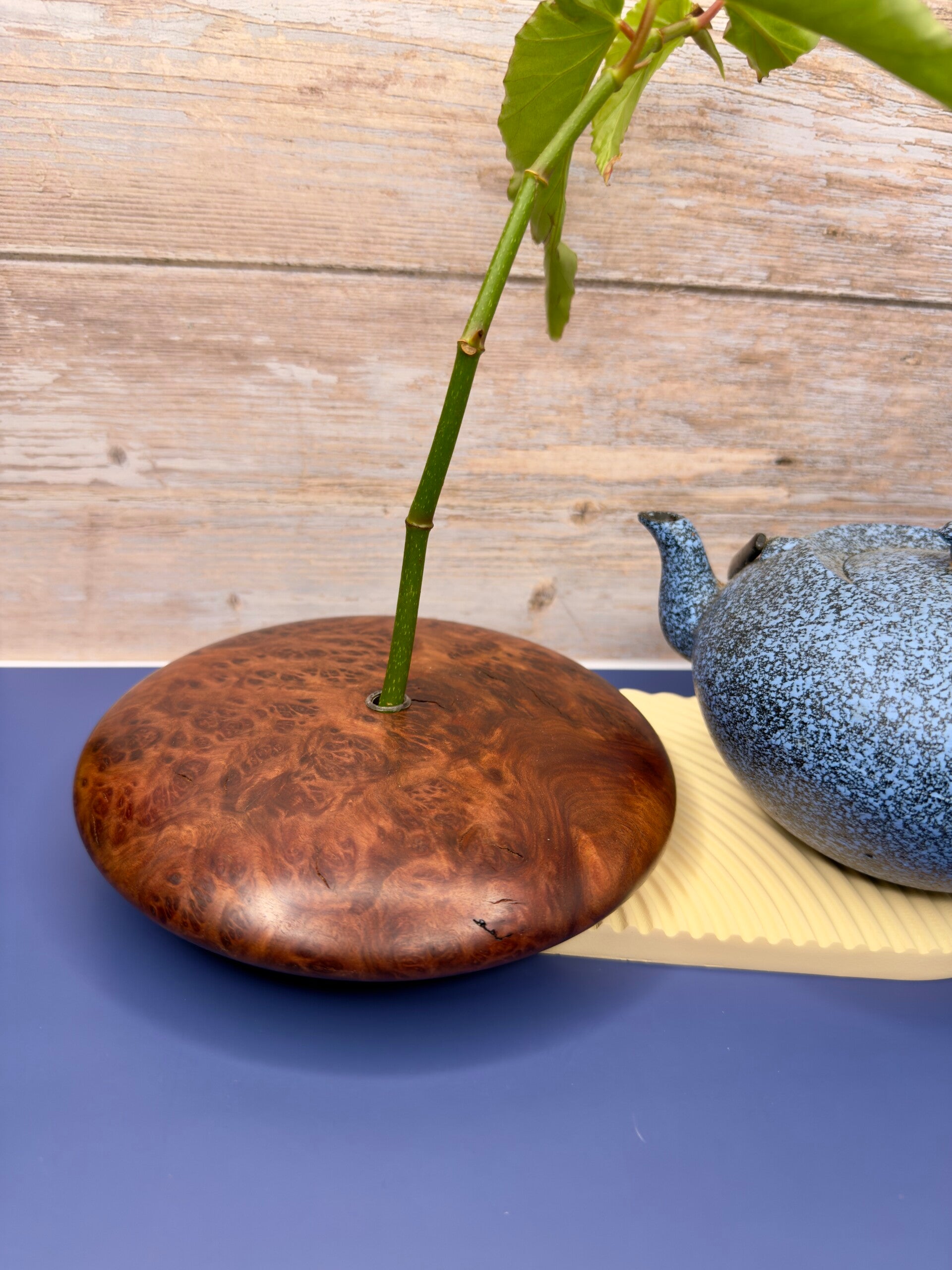 Pebble vase - Red Mallee Burl