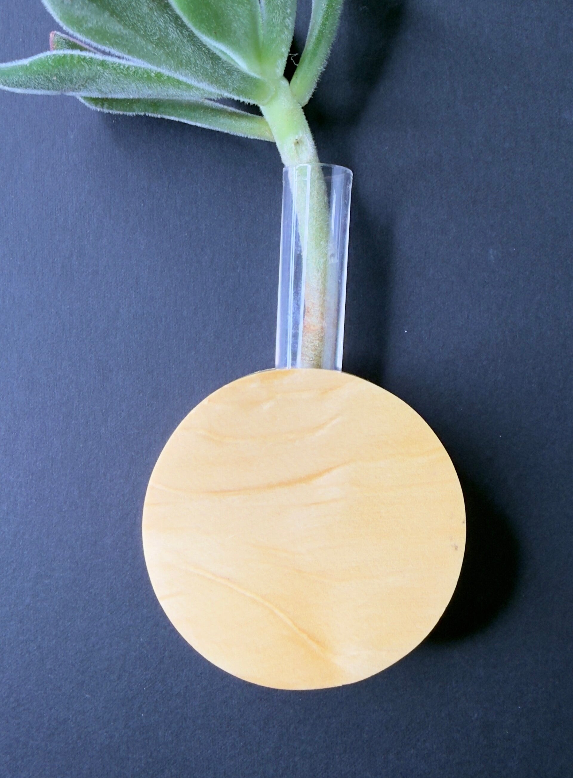 Magnet Vase
