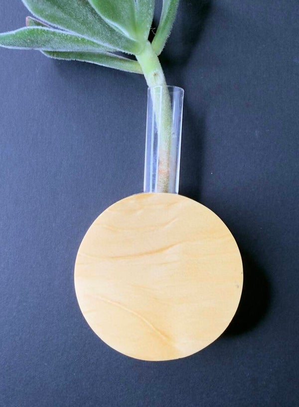 Magnet Vase