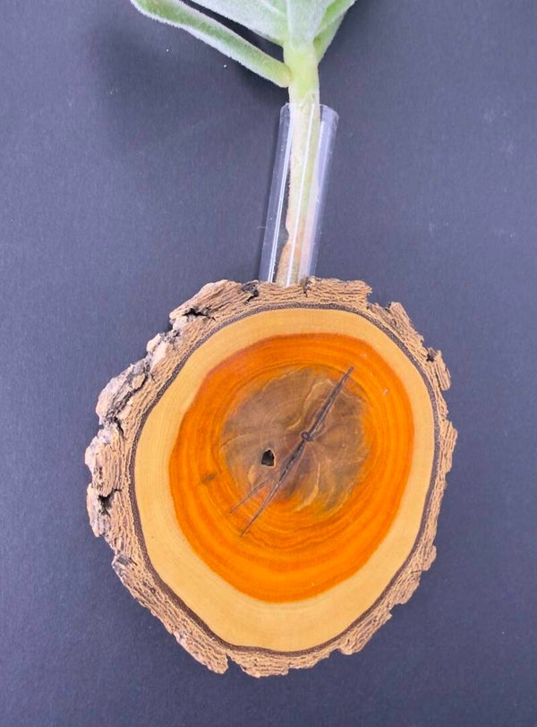 Magnet Vase