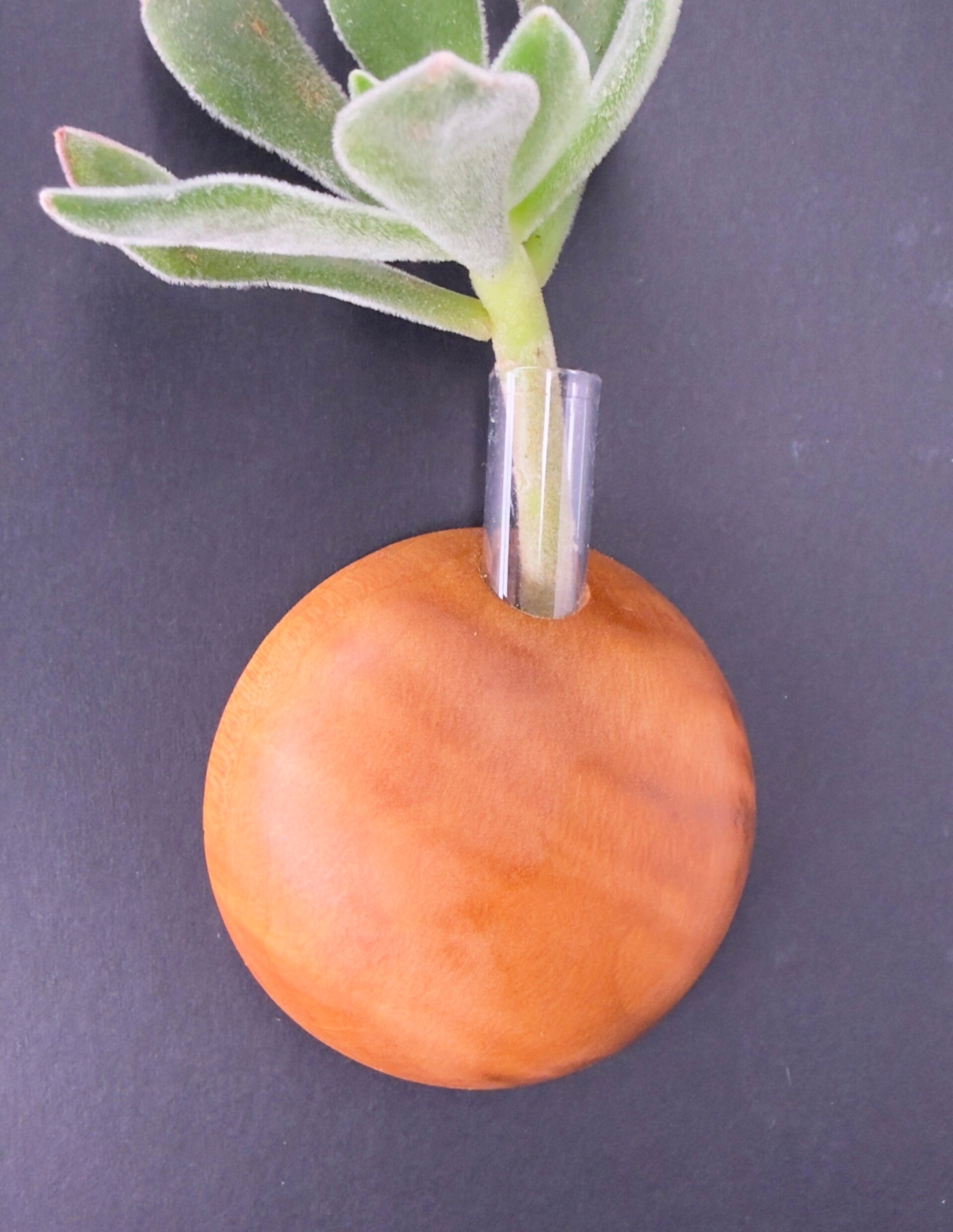 Magnet Vase