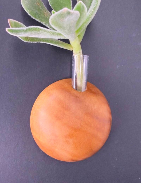 Magnet Vase