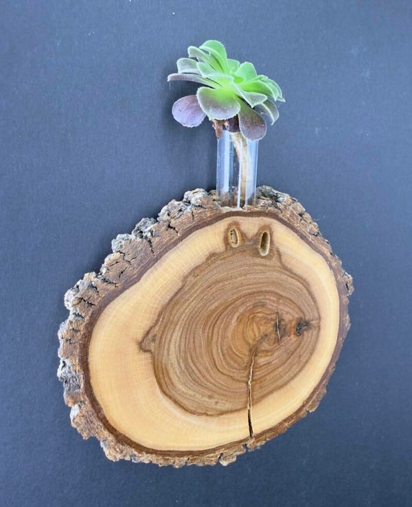 Magnet Vase