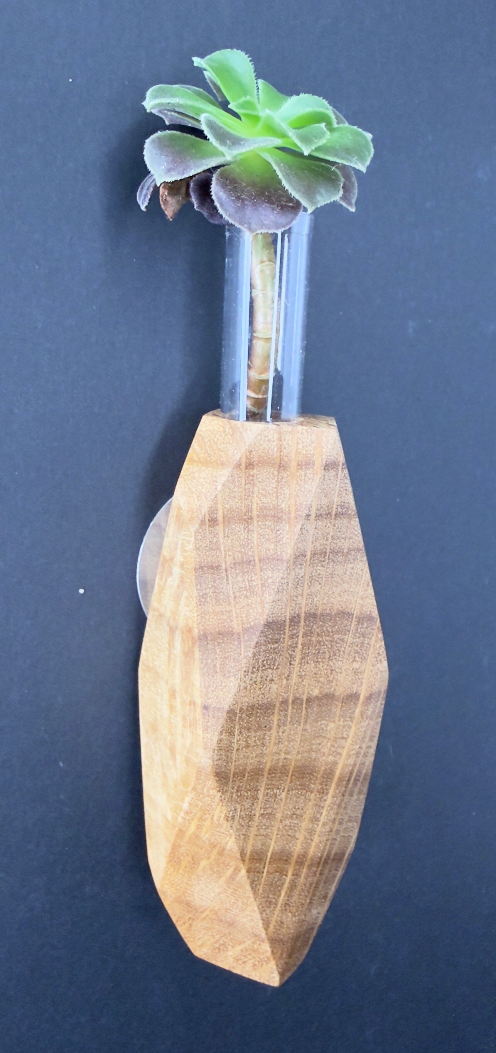 Magnet Vase