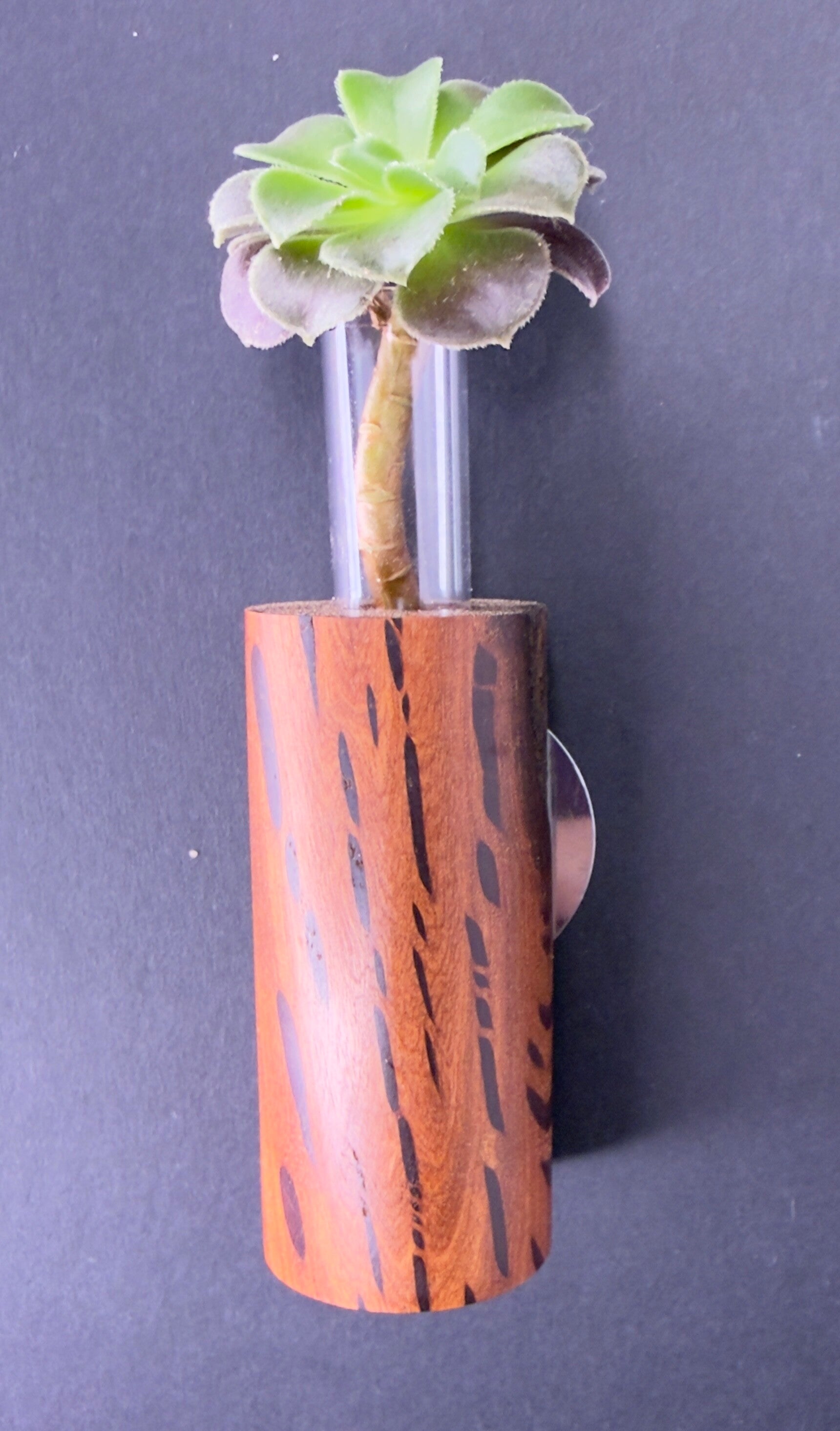 Magnet Vase